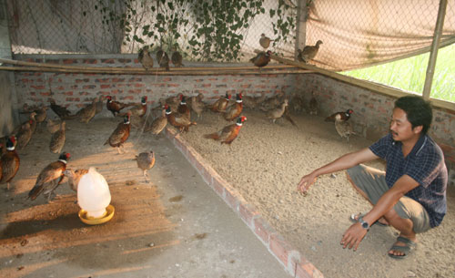 IMG_2494,,,,,